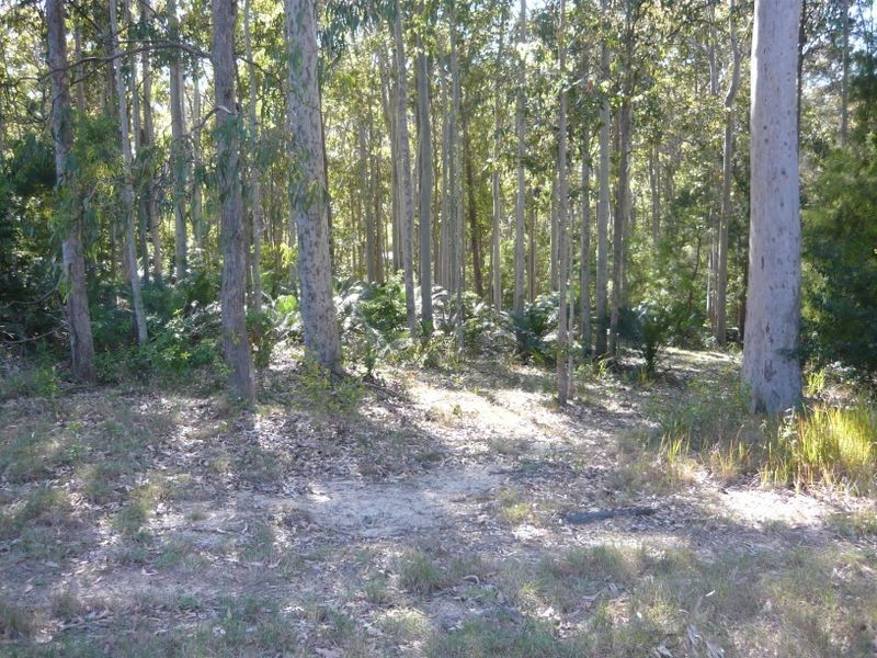 3488 Tathra Bermagui Road, Akolele NSW 2546