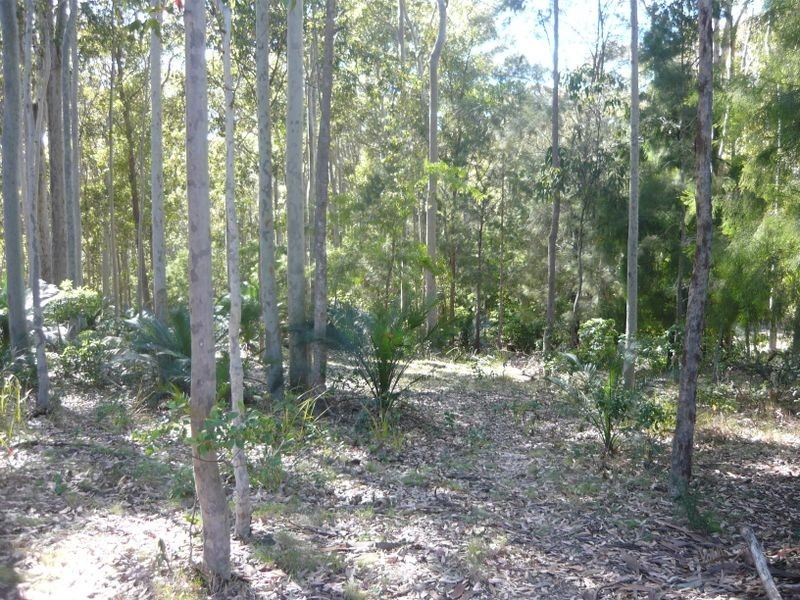 3488 Tathra Bermagui Road, Akolele NSW 2546