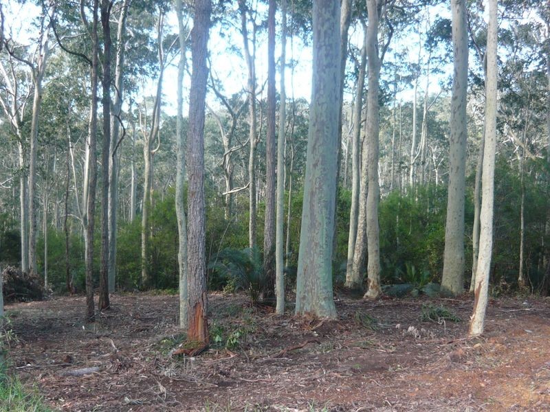 2A Willis Boulevard, Narooma NSW 2546