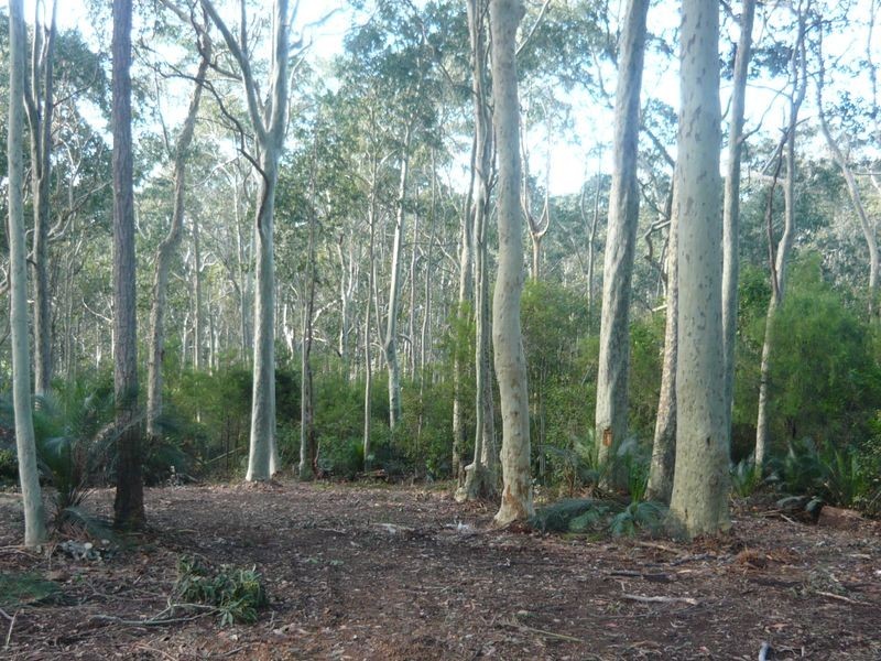 2A Willis Boulevard, Narooma NSW 2546