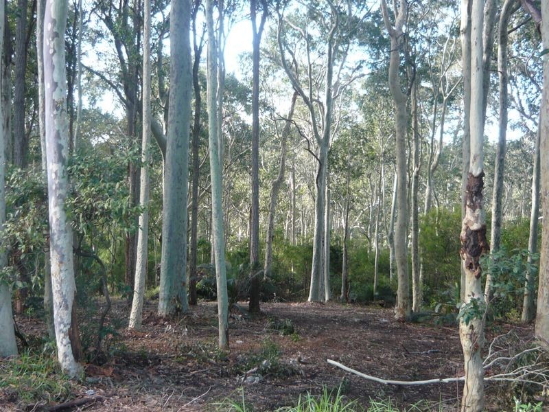2A Willis Boulevard, Narooma NSW 2546