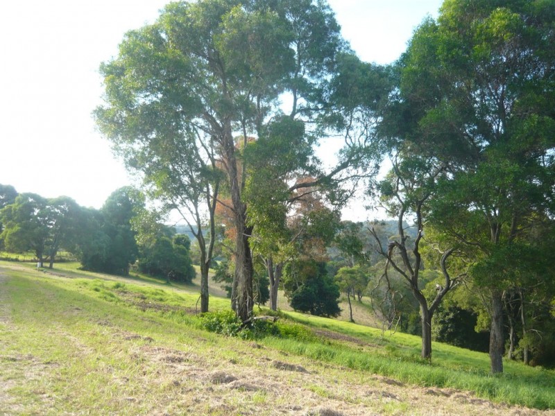 39 Lilyvale Place, Narooma NSW 2546