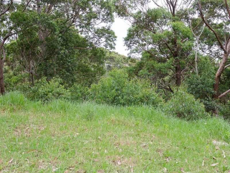 17 Beachview Close, Akolele NSW 2546