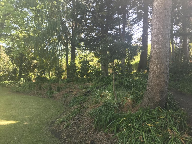 Lot 5,272- Corkhill Drive, Tilba Tilba NSW 2546