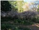 Lot 5,272- Corkhill Drive, Tilba Tilba NSW 2546