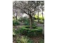Lot 5,272- Corkhill Drive, Tilba Tilba NSW 2546