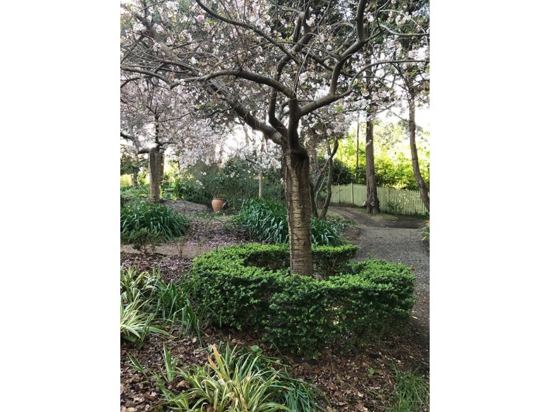 Lot 5,272- Corkhill Drive, Tilba Tilba NSW 2546