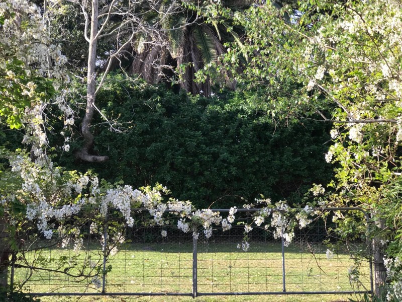 Lot 5,272- Corkhill Drive, Tilba Tilba NSW 2546