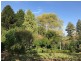 Lot 5,272- Corkhill Drive, Tilba Tilba NSW 2546