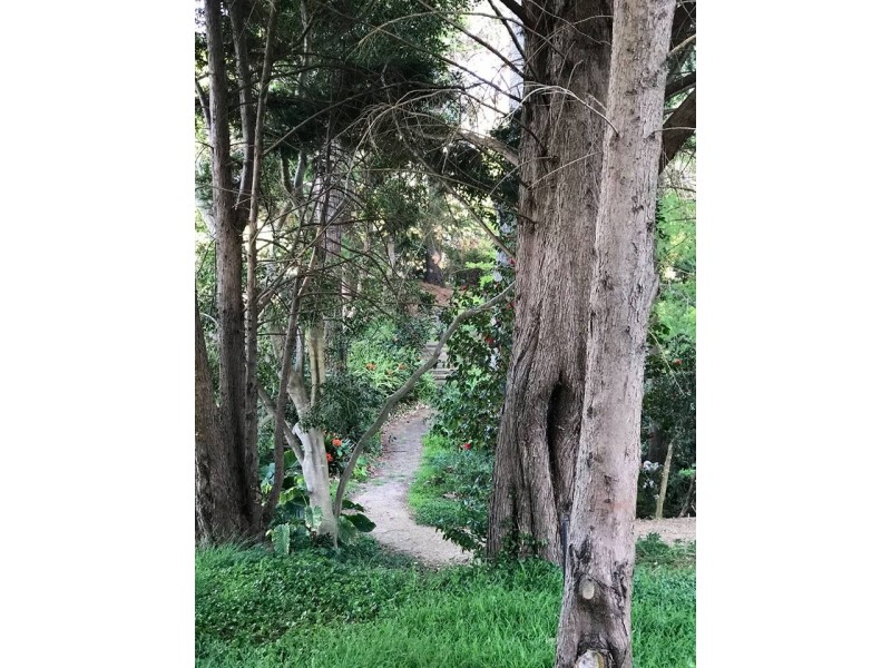 Lot 5,272- Corkhill Drive, Tilba Tilba NSW 2546