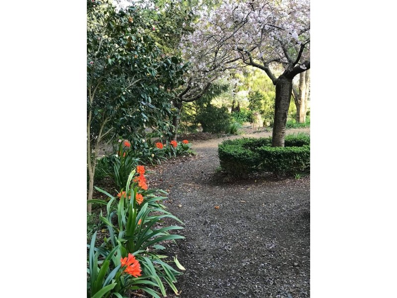 Lot 5,272- Corkhill Drive, Tilba Tilba NSW 2546