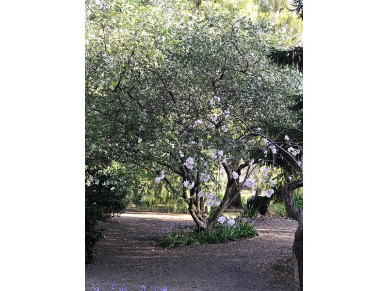 Lot 5,272- Corkhill Drive, Tilba Tilba NSW 2546