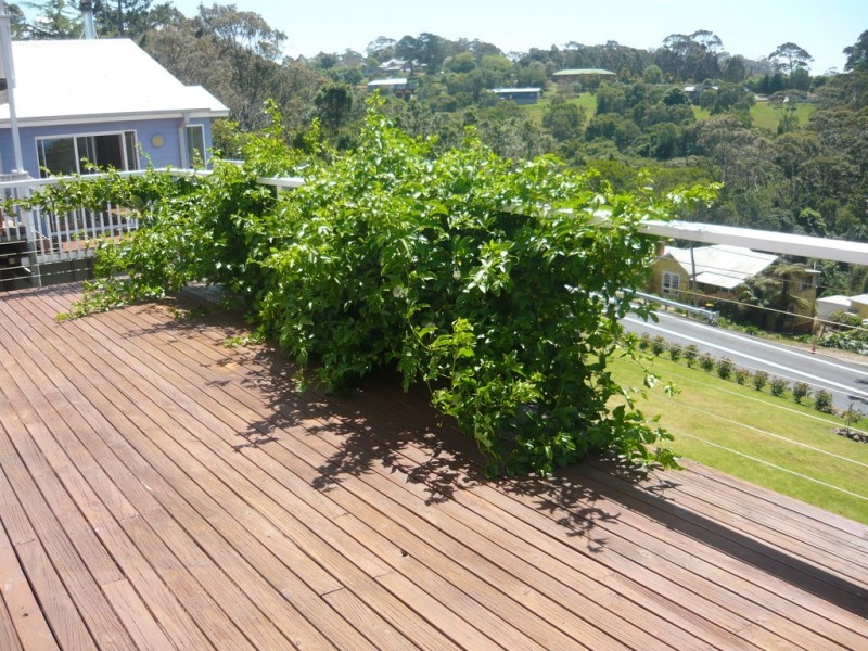 15 Bellbird Lane, North Narooma NSW 2546