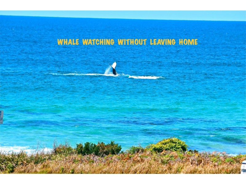 21 Dalmeny Drive, Kianga NSW 2546