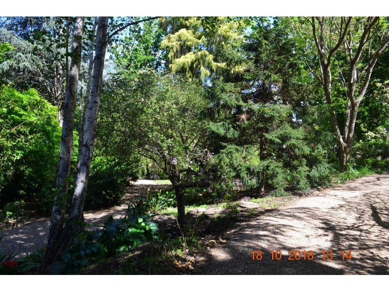 282 Corkhill Drive, Tilba Tilba NSW 2546