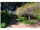 282 Corkhill Drive, Tilba Tilba NSW 2546