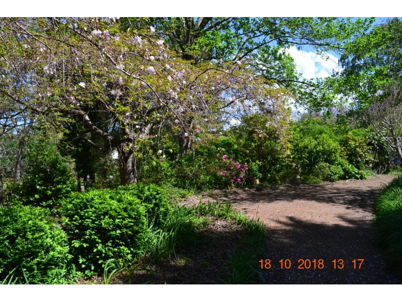 282 Corkhill Drive, Tilba Tilba NSW 2546