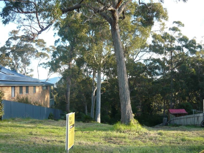 41 Hillcrest Avenue, Akolele NSW 2546