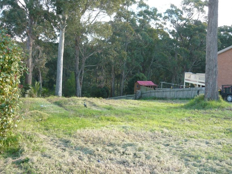 41 Hillcrest Avenue, Akolele NSW 2546