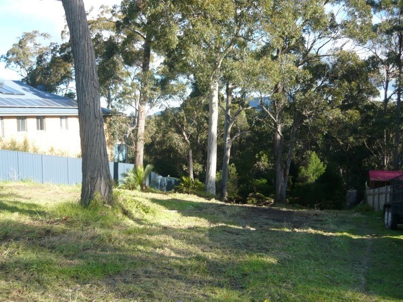 41 Hillcrest Avenue, Akolele NSW 2546