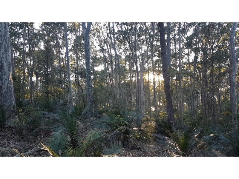 3488 Tathra Bermagui Road, Barragga Bay NSW 2546