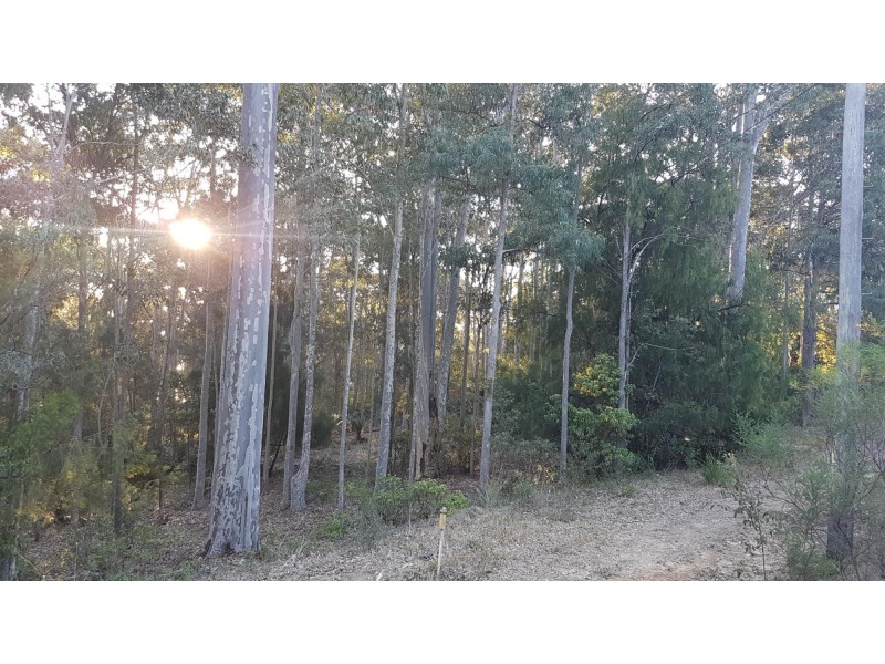 3488 Tathra Bermagui Road, Barragga Bay NSW 2546