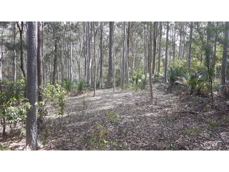 3488 Tathra Bermagui Road, Barragga Bay NSW 2546