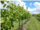 874 Cobargo- Bermagui Road, Bermagui NSW 2546