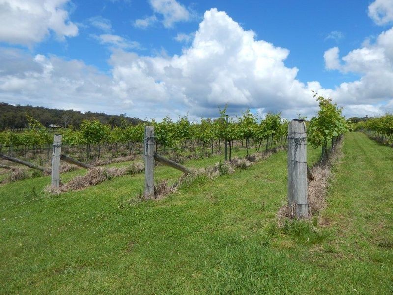 874 Cobargo- Bermagui Road, Bermagui NSW 2546