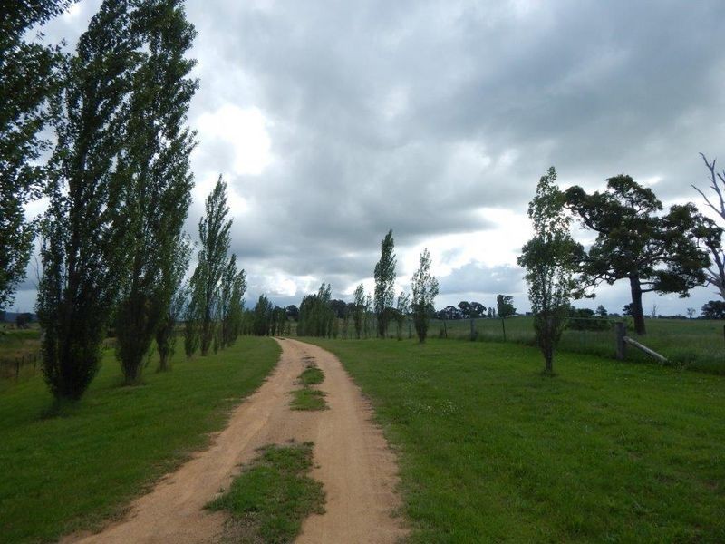 874 Cobargo- Bermagui Road, Bermagui NSW 2546