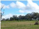 874 Cobargo- Bermagui Road, Bermagui NSW 2546