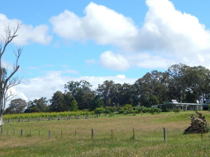 874 Cobargo- Bermagui Road, Bermagui NSW 2546