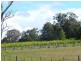 874 Cobargo- Bermagui Road, Bermagui NSW 2546