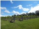 874 Cobargo- Bermagui Road, Bermagui NSW 2546