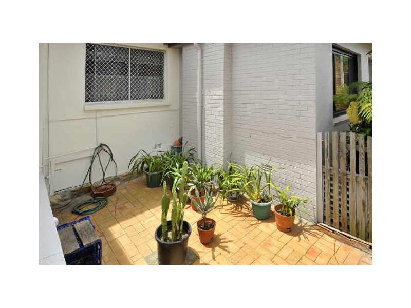 81 Robey Street, Maroubra NSW 2035