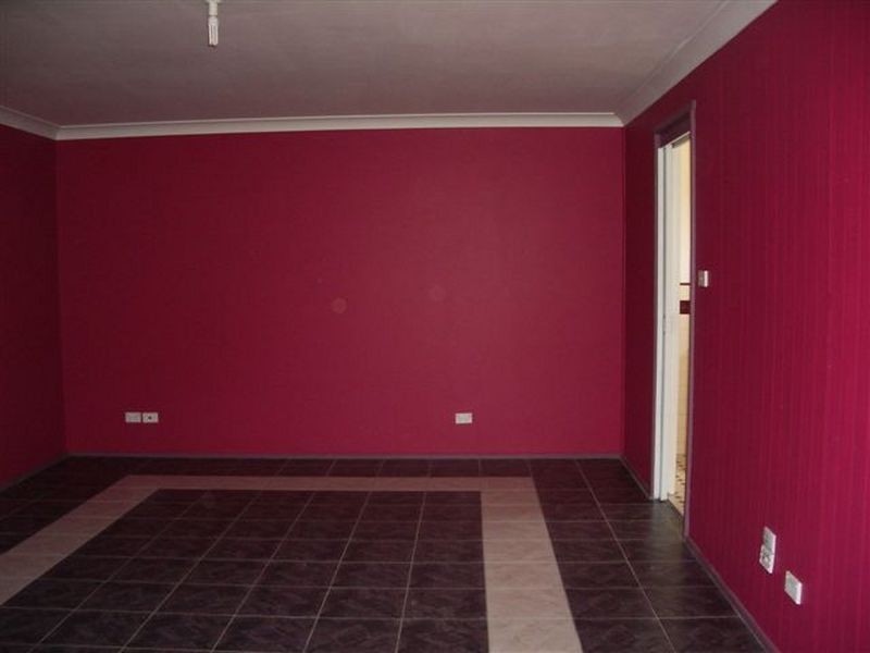 47 Carinda Street, Ingleburn NSW 2565