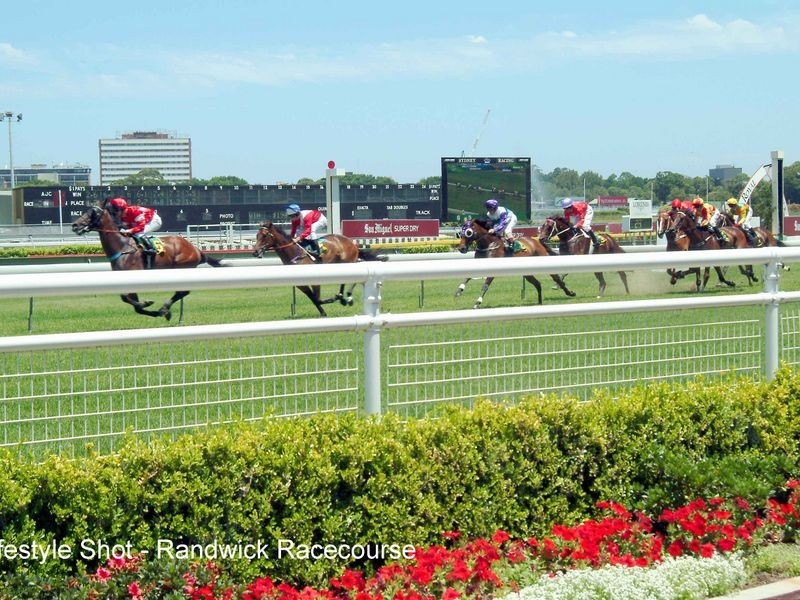 93/255-271 Anzac Parade, Kingsford NSW 2032