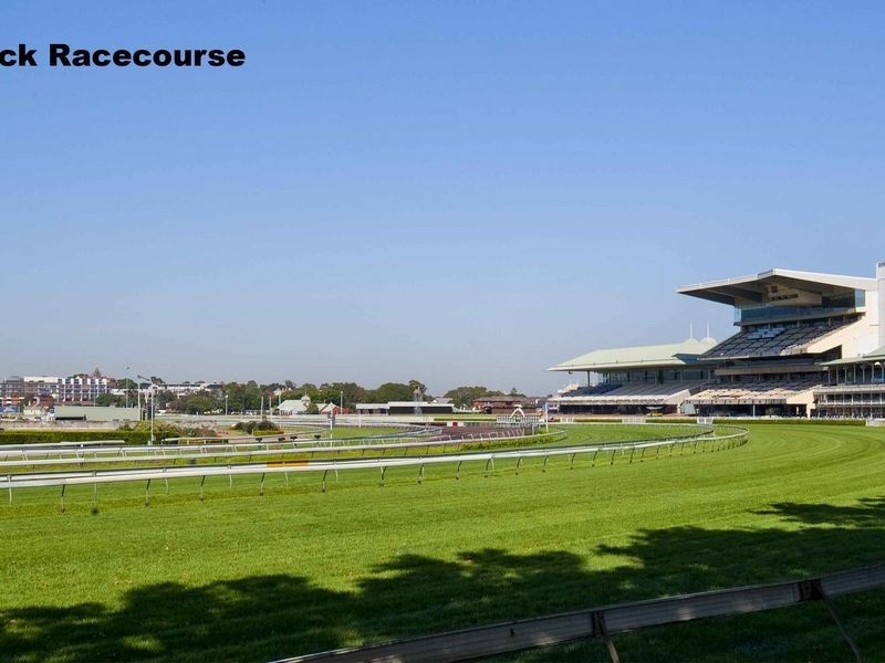 14/2 Kynaston Avenue, Randwick NSW 2031