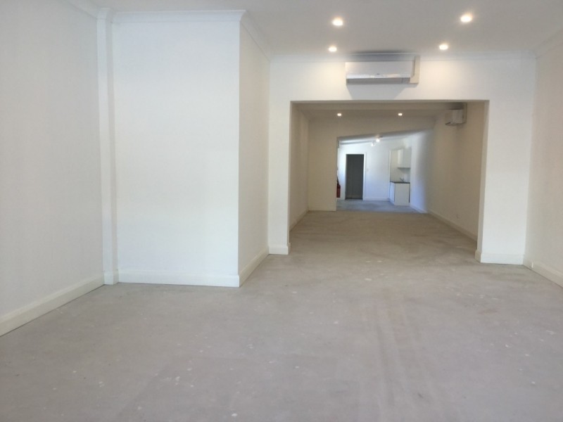 1117 Botany Road, Mascot NSW 2020