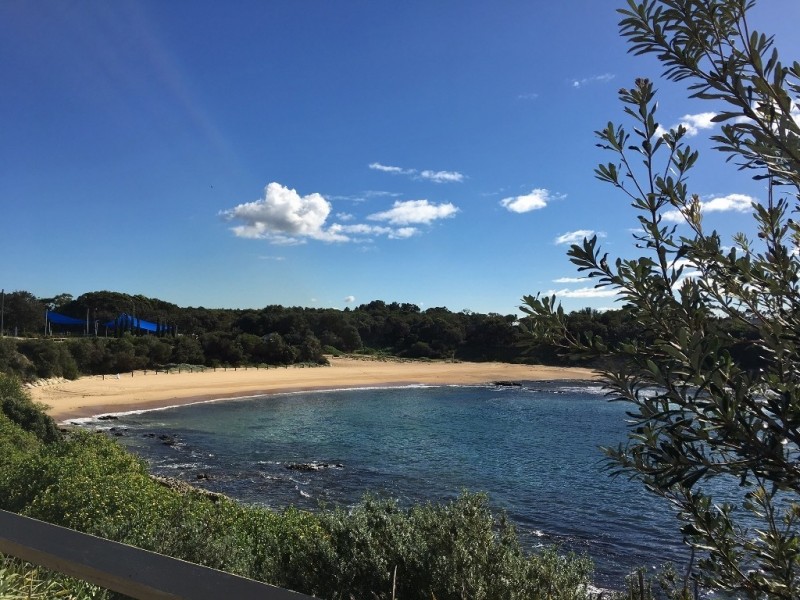48 Prince Edward Street, Malabar NSW 2036
