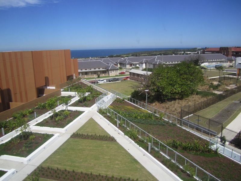 Little Bay NSW 2036