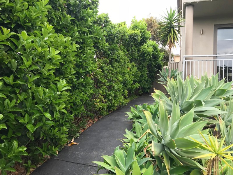 40A Meehan Street, Matraville NSW 2036