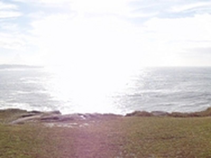 Maroubra NSW 2035