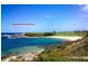 1359 Anzac Parade, Chifley NSW 2036