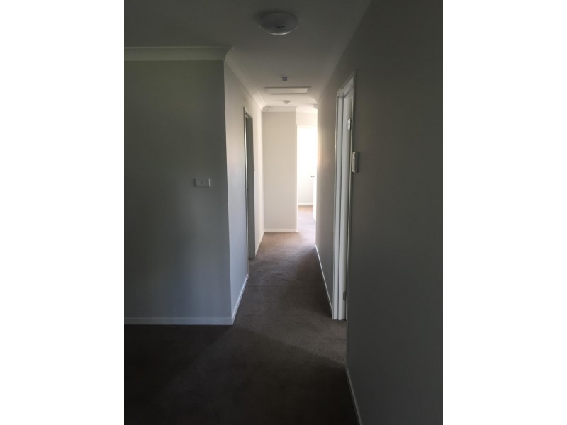 14 Lawson Street, Matraville NSW 2036