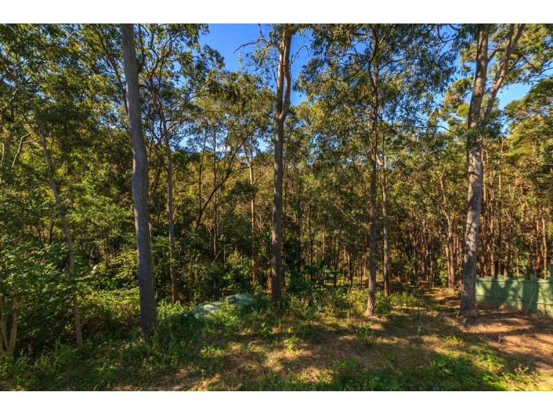 54 Harry Mills Drive, Worongary QLD 4213