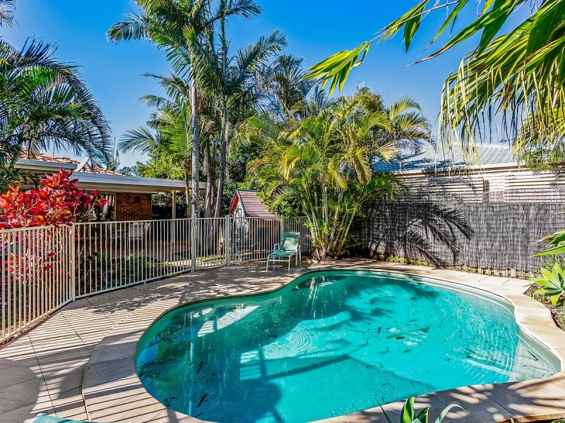 8 Rice Place, Varsity Lakes QLD 4227