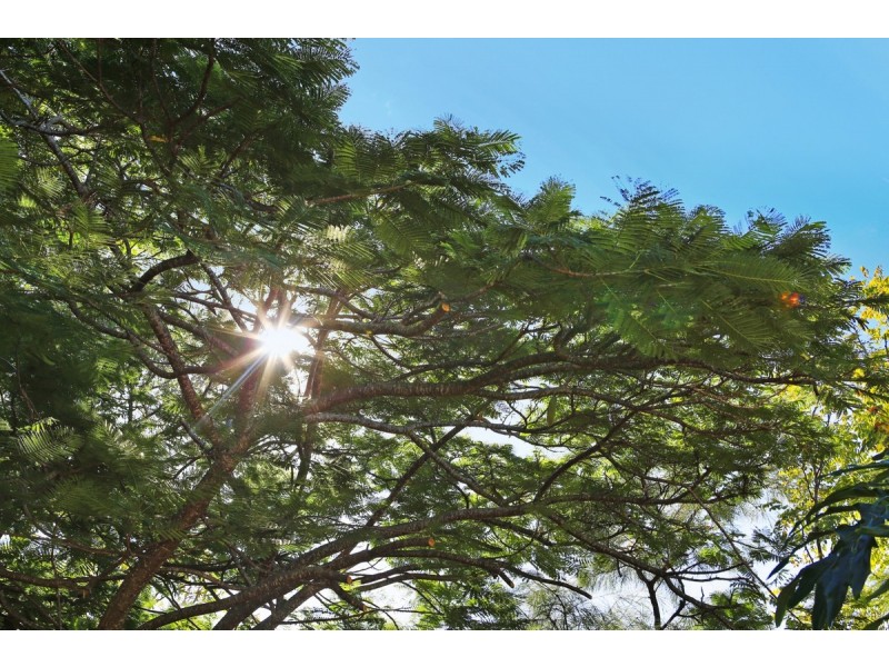 60 Benowa Road, Southport QLD 4215