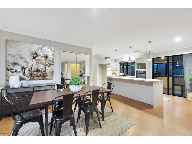 41 Amberwood Drive, Upper Coomera QLD 4209