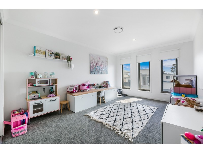 17 Coronata Place, Reedy Creek QLD 4227